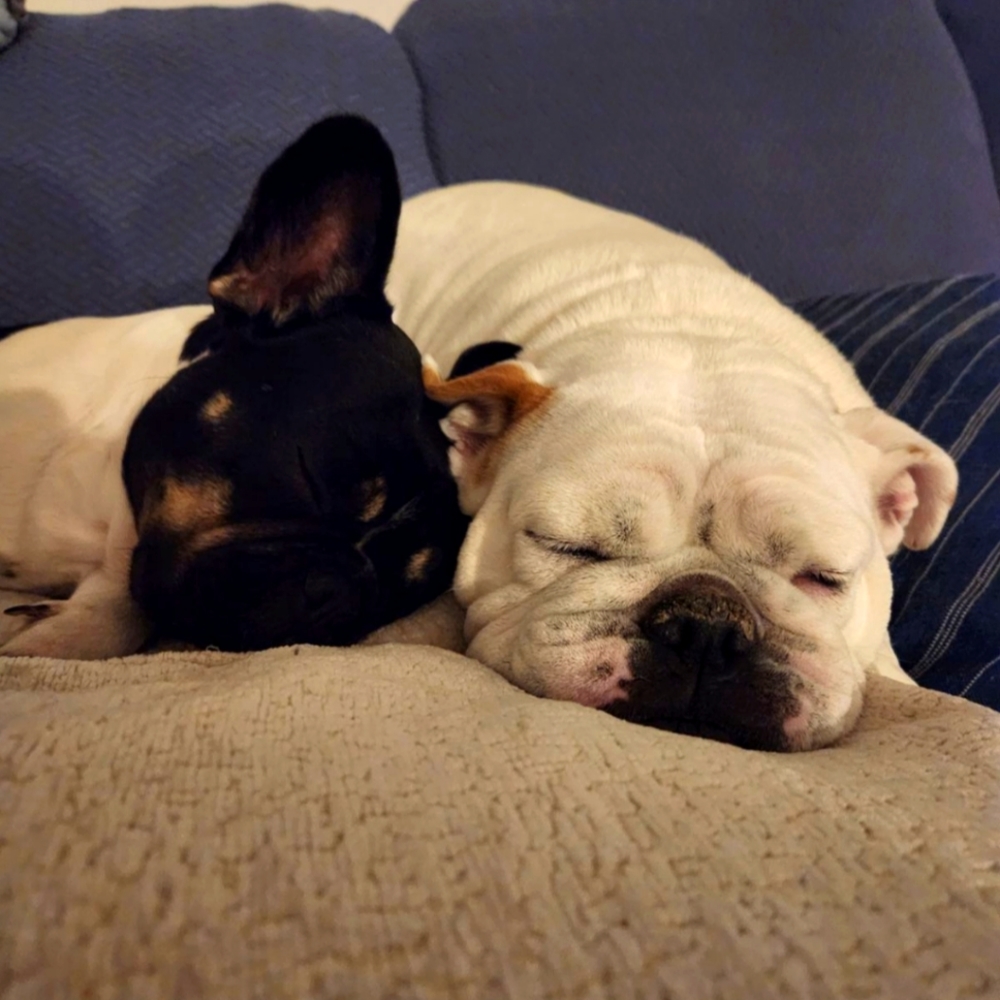 Meet your Posher, Kwoo